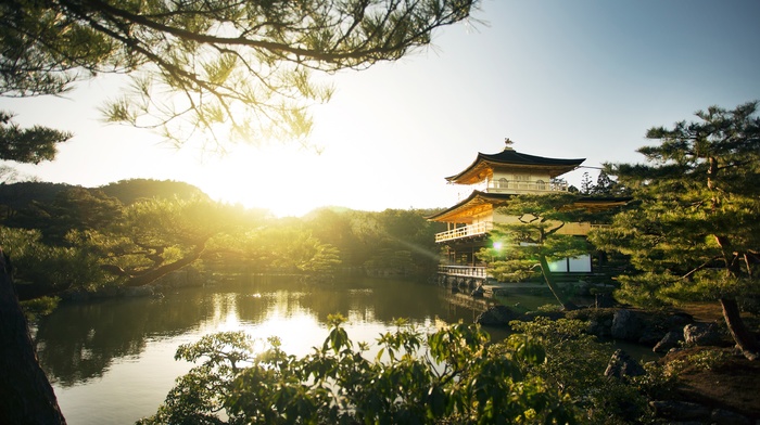 pagoda, Kyoto, sunrise, landscape, Japan, lake, park, trees, nature