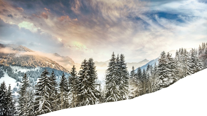 snow, trees, landscape