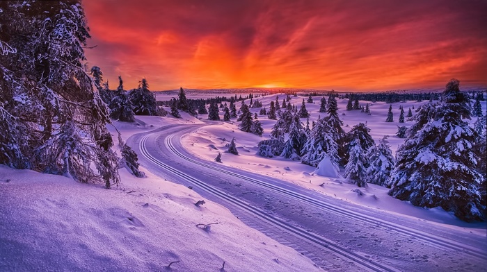 sunset, snow, road, trees