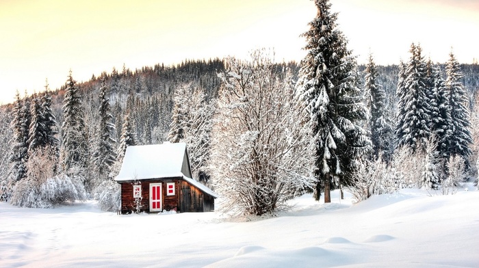 snow, landscape