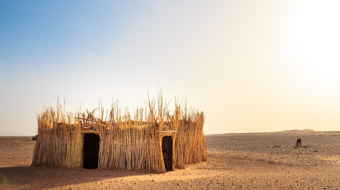 Sahara, desert, landscape