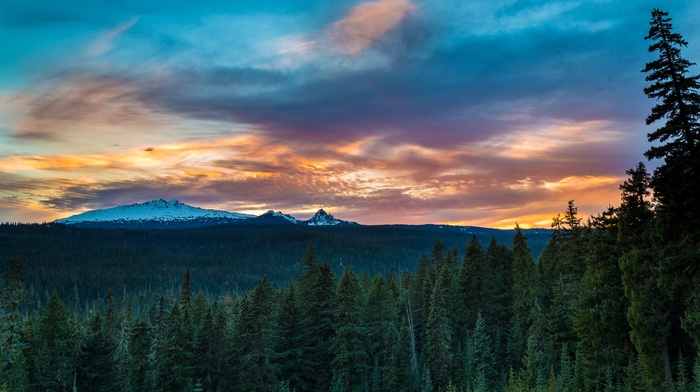 landscape, trees, Oregon