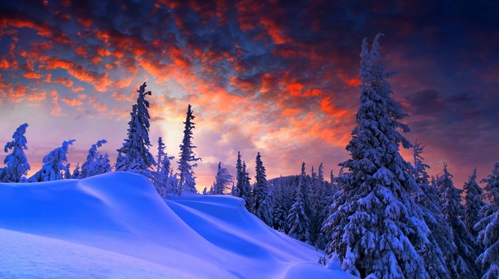 snow, landscape, trees