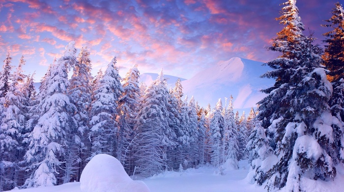 snow, landscape, trees