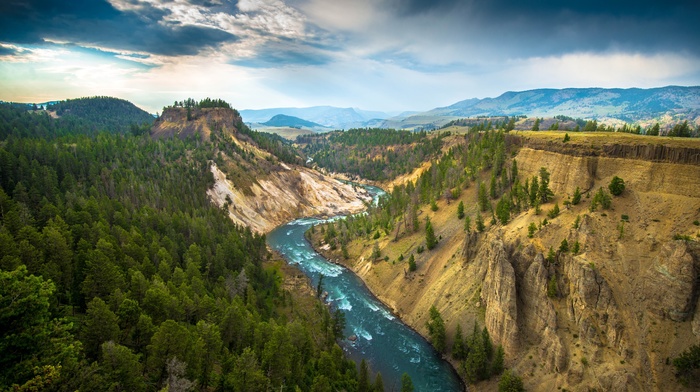 Yellowstone National Park, river, landscape