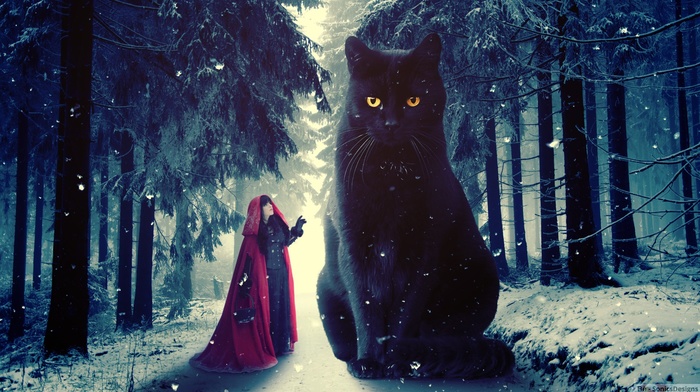 Red Riding Hood, photo manipulation, digital art, cat, winter, photoshop, snow