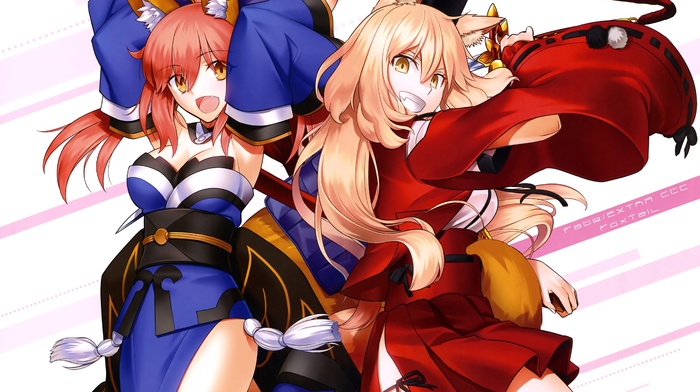 fate series, FateExtra, animal ears, Caster FateExtra, FateExtra CCC