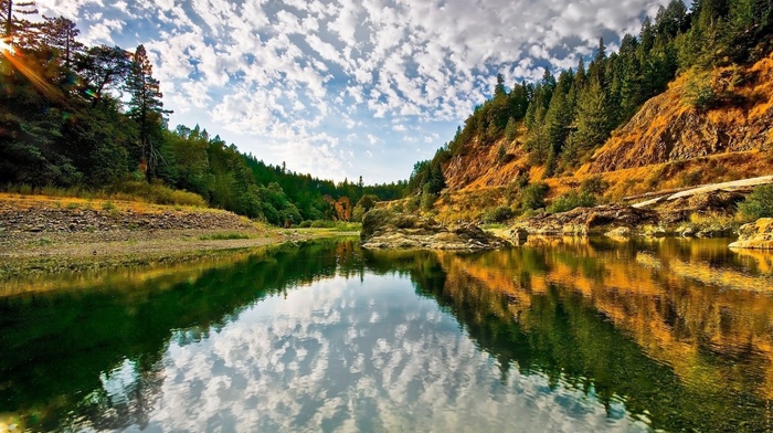 forest, trees, reflection, clouds, water, river, nature