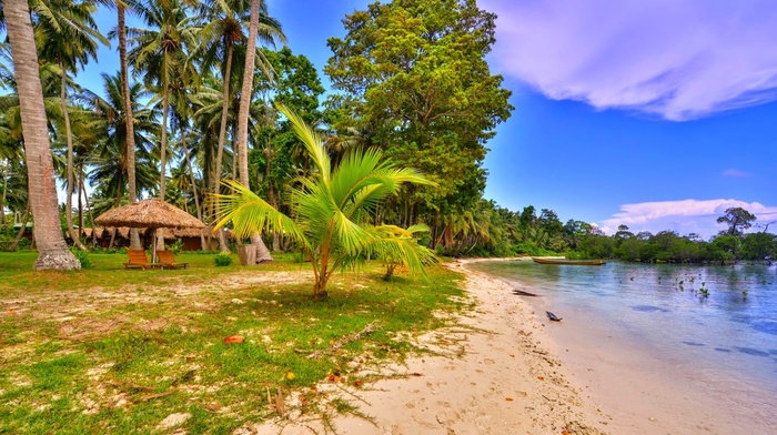 boat, landscape, sea, palm trees, beach, sunshade, chair, grass, nature, sand, tropical