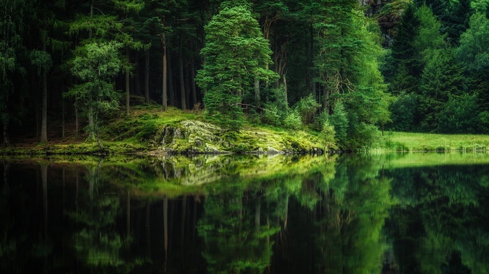 lake, trees