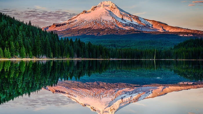 trees, reflection, mountain, water, landscape, forest, sunset, snowy peak, Oregon, nature, calm, lake
