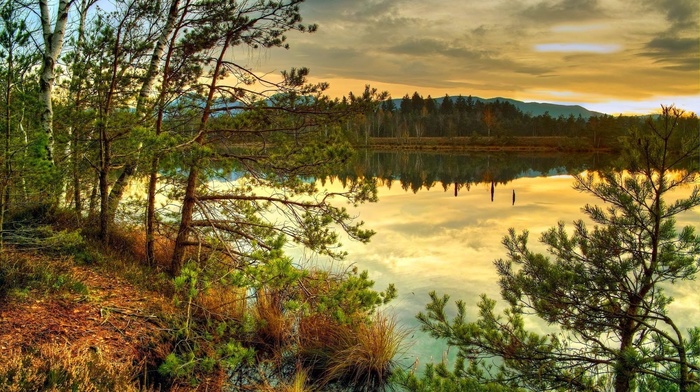 nature, sunset, lake, forest, trees, reflection