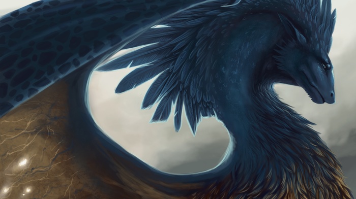 fantasy art, creature, wings, feathers, blue