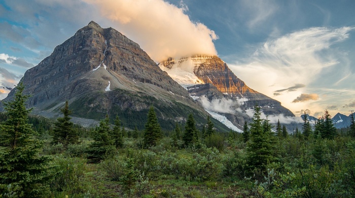 trees, nature, mountain, clouds