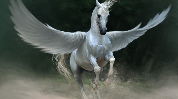 horse, Pegasus, fantasy art, artwork, wings