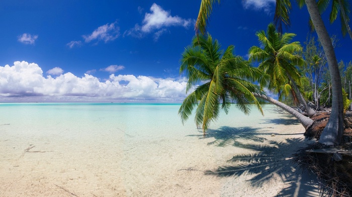 summer, tropical, palm trees, sea, landscape, nature, island, sand, clouds, beach, white