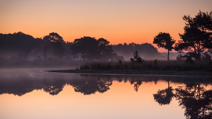 sunrise, nature, lake, Netherlands, calm, trees, water, mist, forest, landscape, reflection