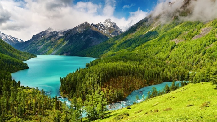 lake, landscape, forest, mountain