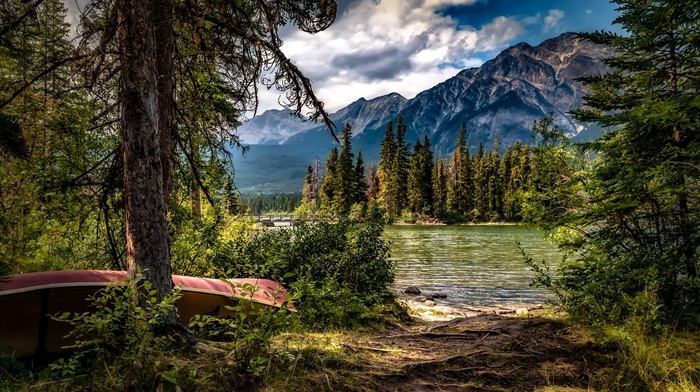 landscape, forest, lake, pine trees, boat