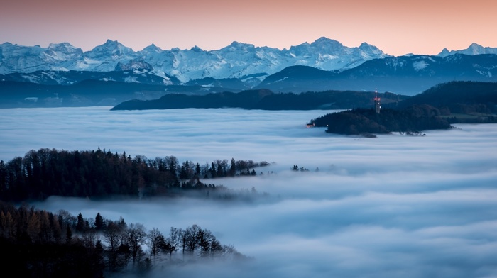 snowy peak, Alps, forest, mist, mountain, landscape, nature, Switzerland, blue