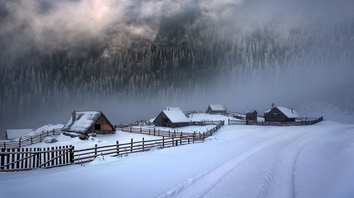 nature, mist, path, cold, sunlight, forest, cabin, white, landscape, fence, snow, mountain, clouds, winter
