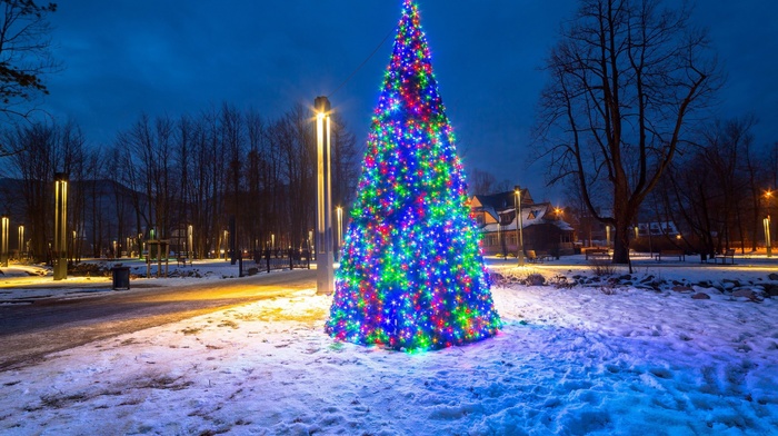 snow, nature, holiday, Christmas, christmas lights, fir