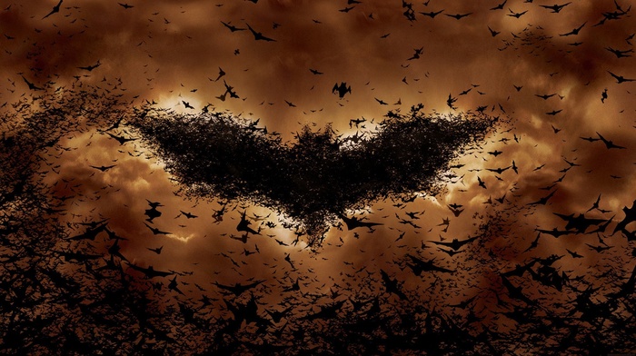 Batman logo, Batman, movies, bats