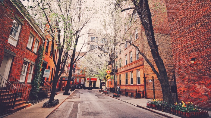 building, urban, trees, street