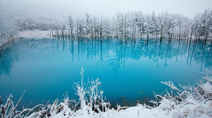 landscape, nature, snow, lake, winter, ice