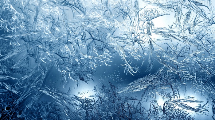 frost, ice, macro