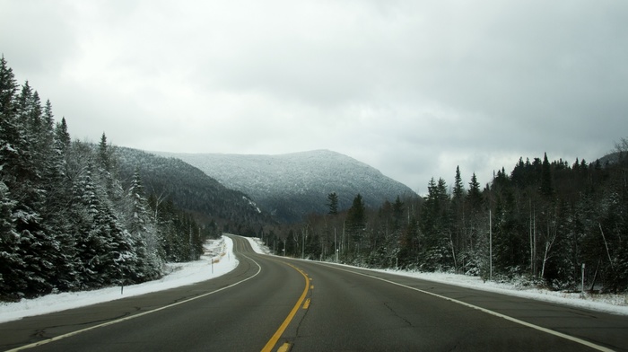 road, landscape