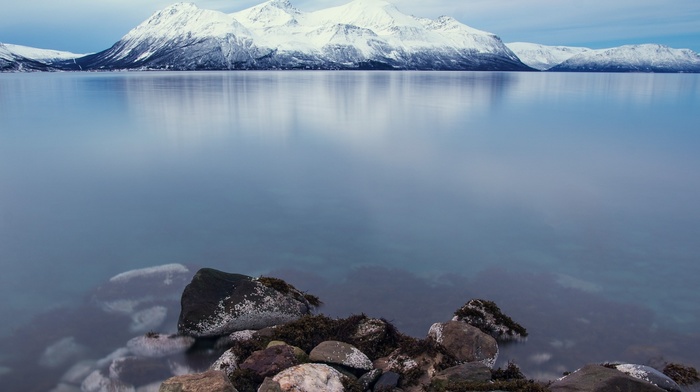 nature, landscape