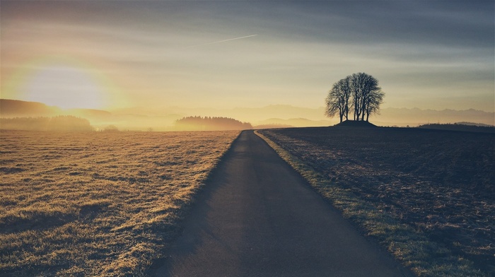 road, landscape