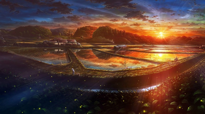anime