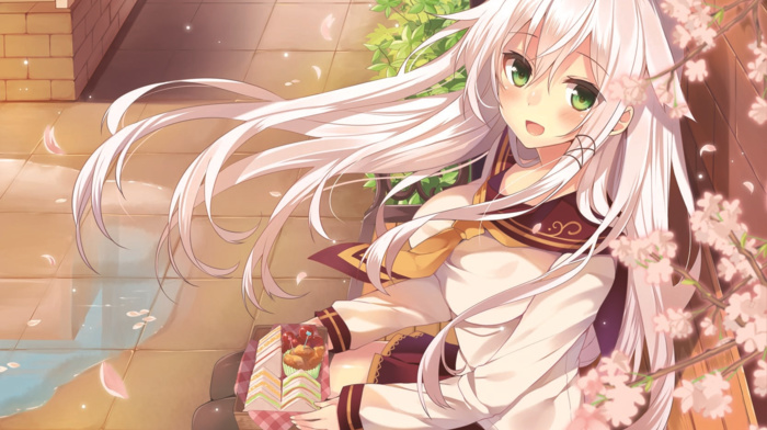 original characters, Anceril Sacred, anime girls, cherry blossom