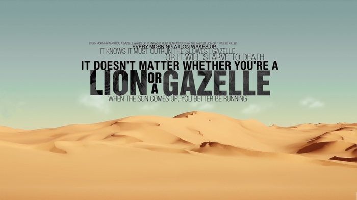 lion, desert, quote