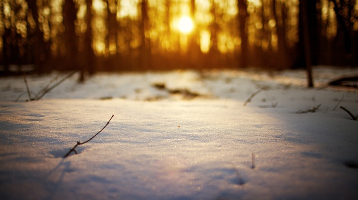 snow