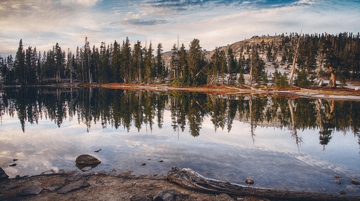 water, nature, lake, reflection, trees, forest