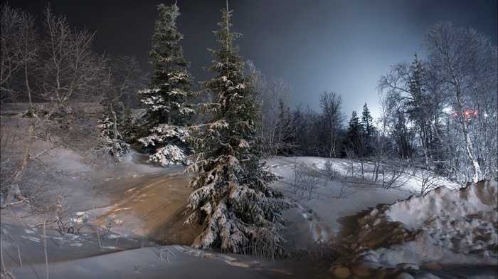 winter, night, trees, snow, landscape, ice