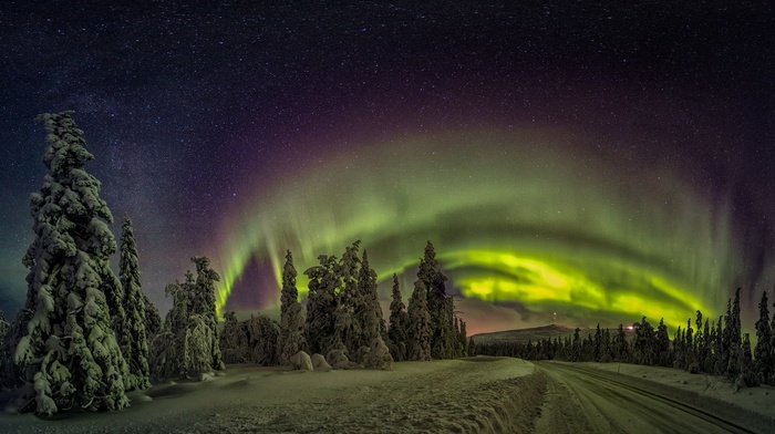 road, aurorae, nature, landscape, starry night, Finland, cold, winter, lights, snow, forest, trees