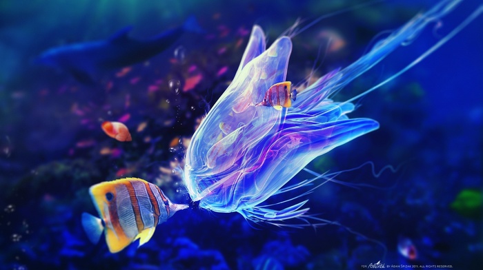 fish, digital art, adam spizak, kissing, underwater