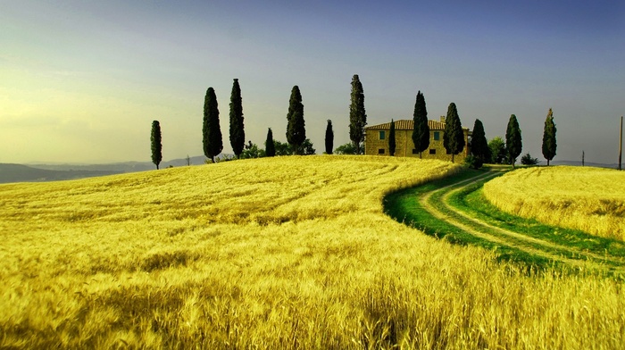 nature