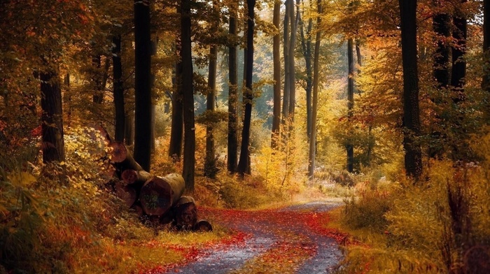 nature