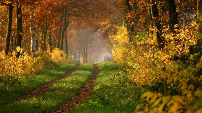 nature