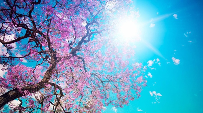 nature