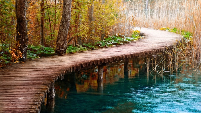 nature