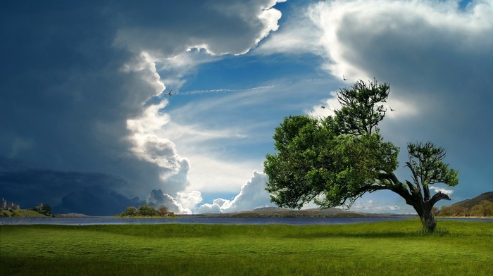 nature