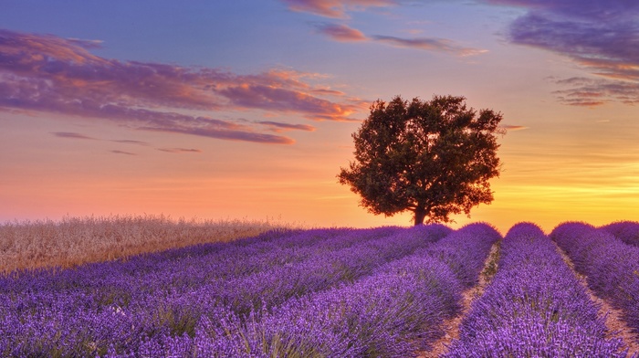 nature