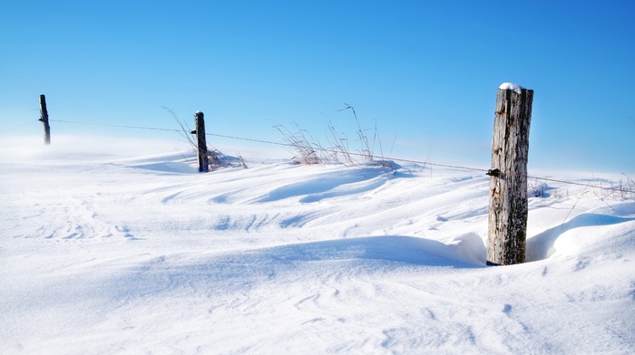 snow, winter