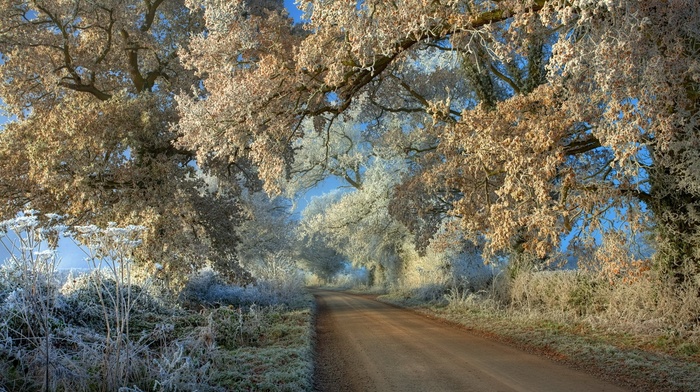 winter, snow